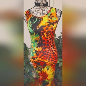 Vibrant Multicolor Sleeveless Dress And Black And White Dress Bundle